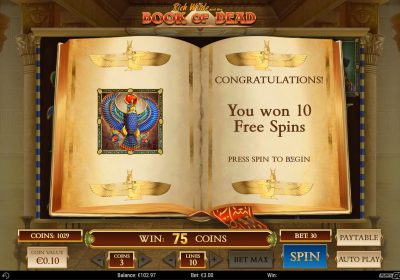How to Increase Winnings in the Casino Game Book of Dead